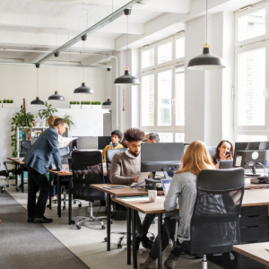 German-Business-1-480x563